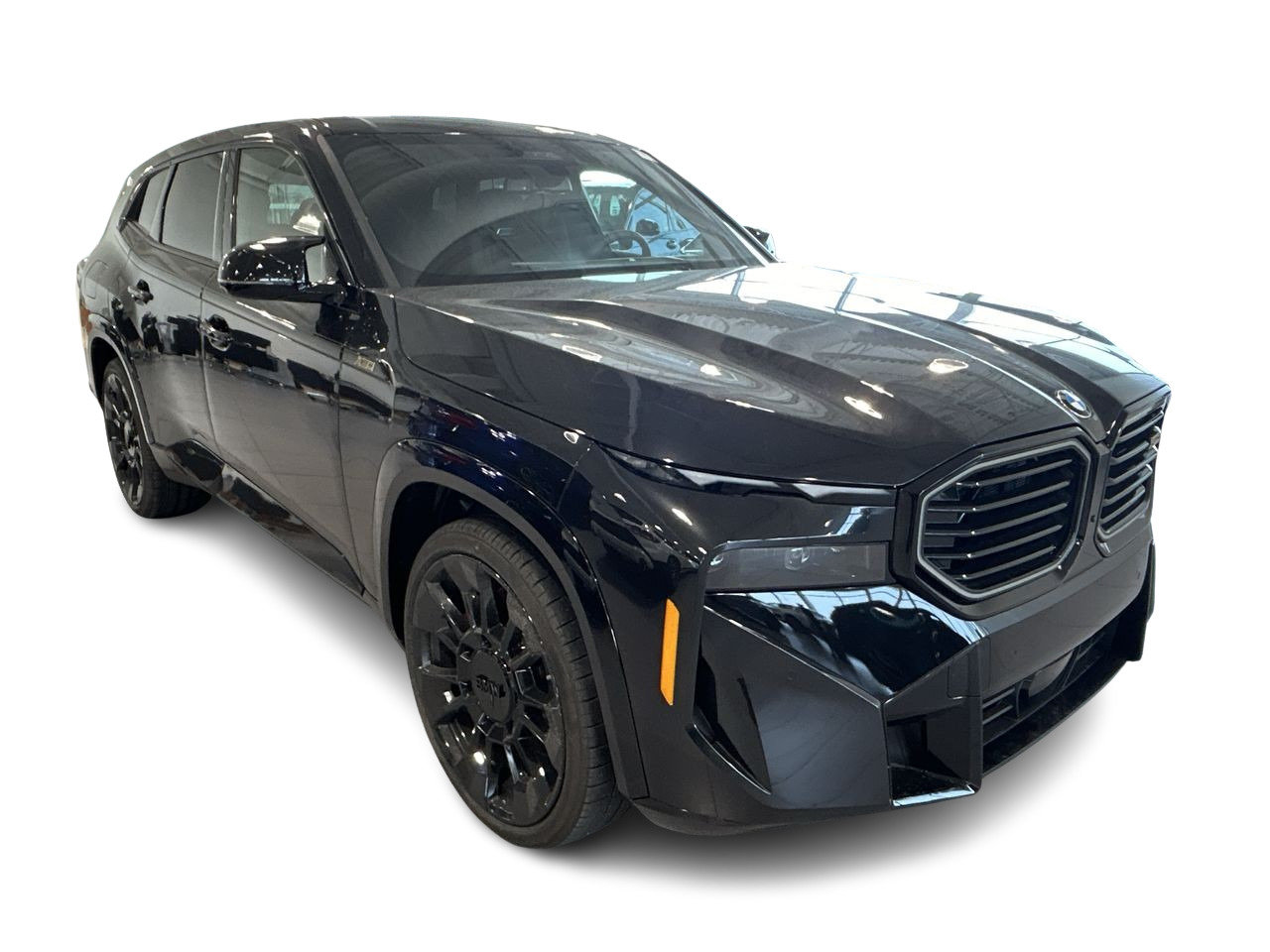 2025 BMW XM XM64964629957890123