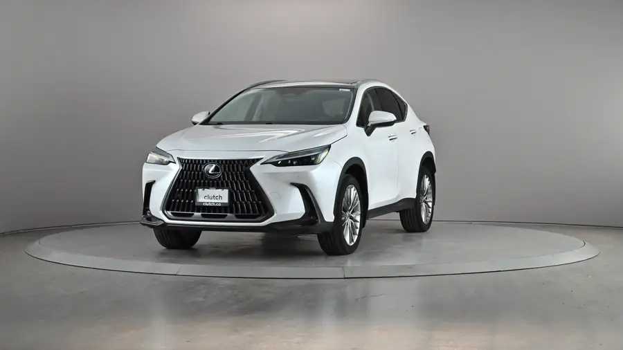 2022 Lexus NX64819064967555121