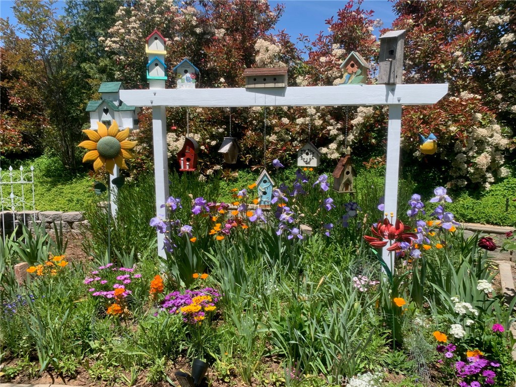 10684 Lakeview Road, Yucaipa CA, 9239963865141158913122