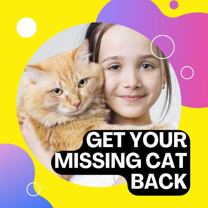 Recupera a tu gato perdido