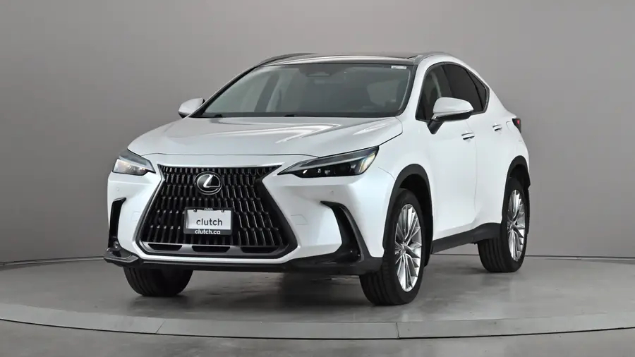 2022 Lexus NX64551536231426122