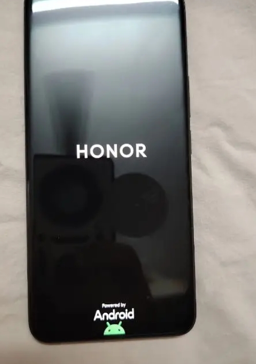 Honor 20065071558158978121