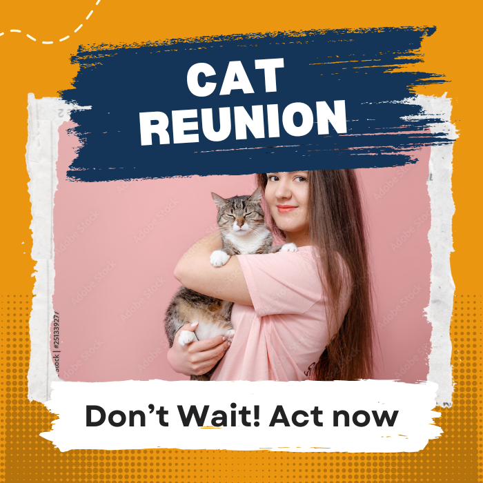 Tu gato está ahí afuera