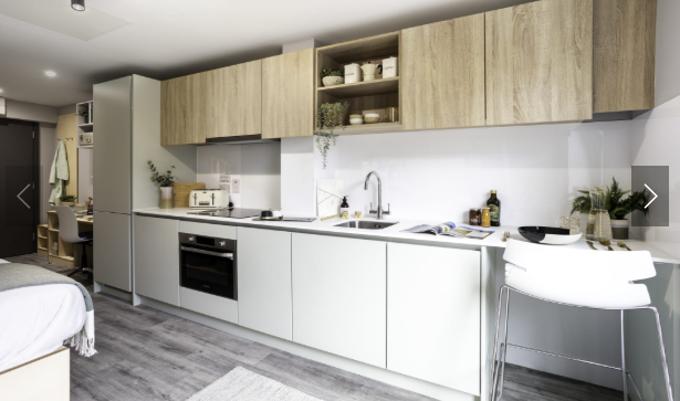 Aster House