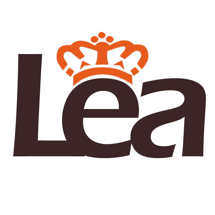 3L Domain and One Word Premium Domain Name  LEA · com for sale63128687161603124