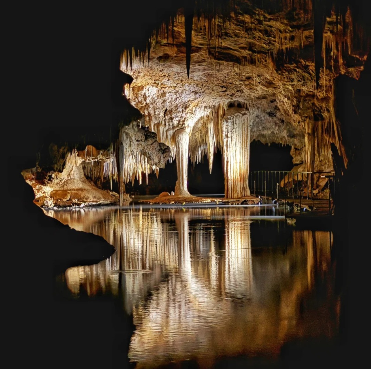<1 Day> [2-14 People Small Group | Dreamy Scenic Journey] Virginia One-Day Tour · Skyline Drive Beauty Shenandoah National Park + Fascinating Virginia Caverns64119058077314122