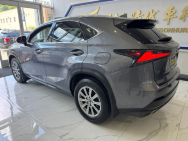 2021 LEXUS NX CONFORT63334756714627122