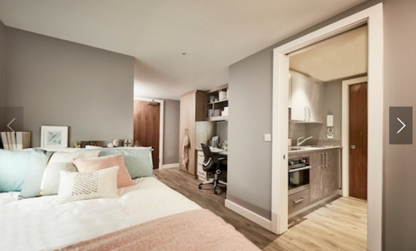 Collegiate Eclipse64510115699073120