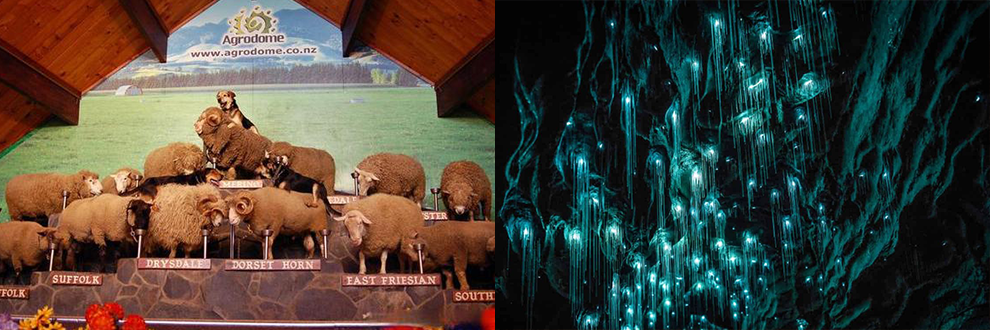 <2 días> Tour de 2 días por la Tierra Media en Isla Norte (salida todos los sábados)64119286671105121