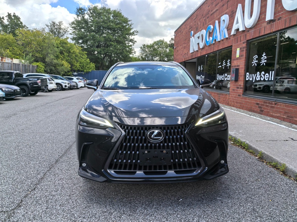 ﻿2022﻿ ﻿Lexus﻿ ﻿NX﻿ ﻿Premium64146572650369121