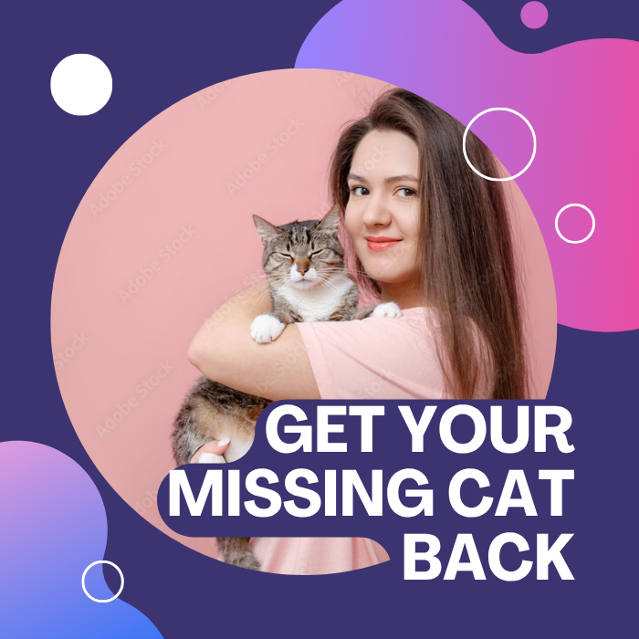 Recupera a tu gato perdido406763119544913920
