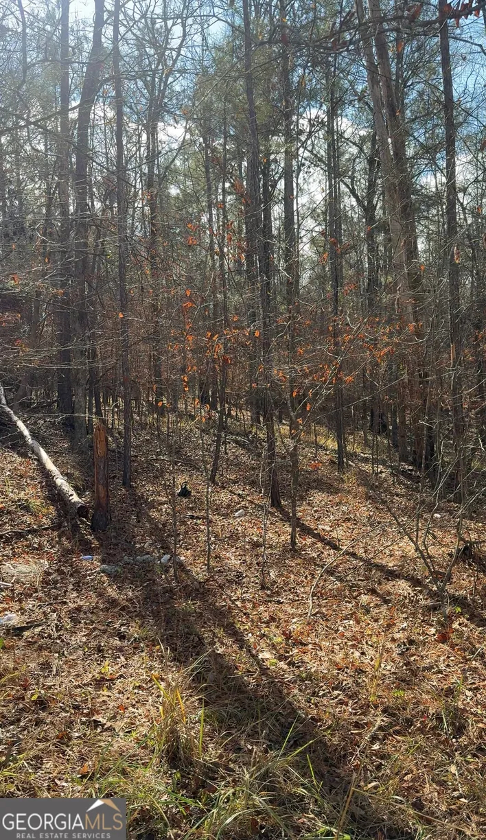 LOT 182 Bluegill Rd