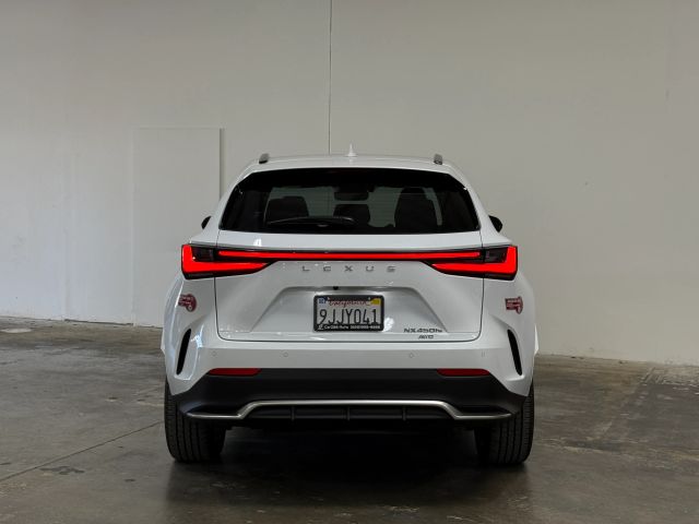 2024 LEXUS NX64024125550721121