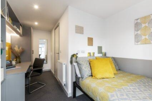 Pine Mill64594218616577120