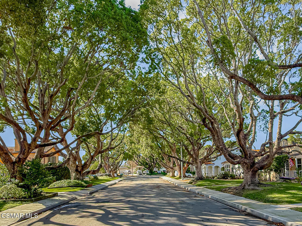 2431 Gramercy Avenue, Torrance CA, 9050164089318467971120