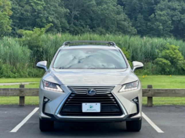 SUV de alto valor residual｜2019 LEXUS RX35063225302983811122