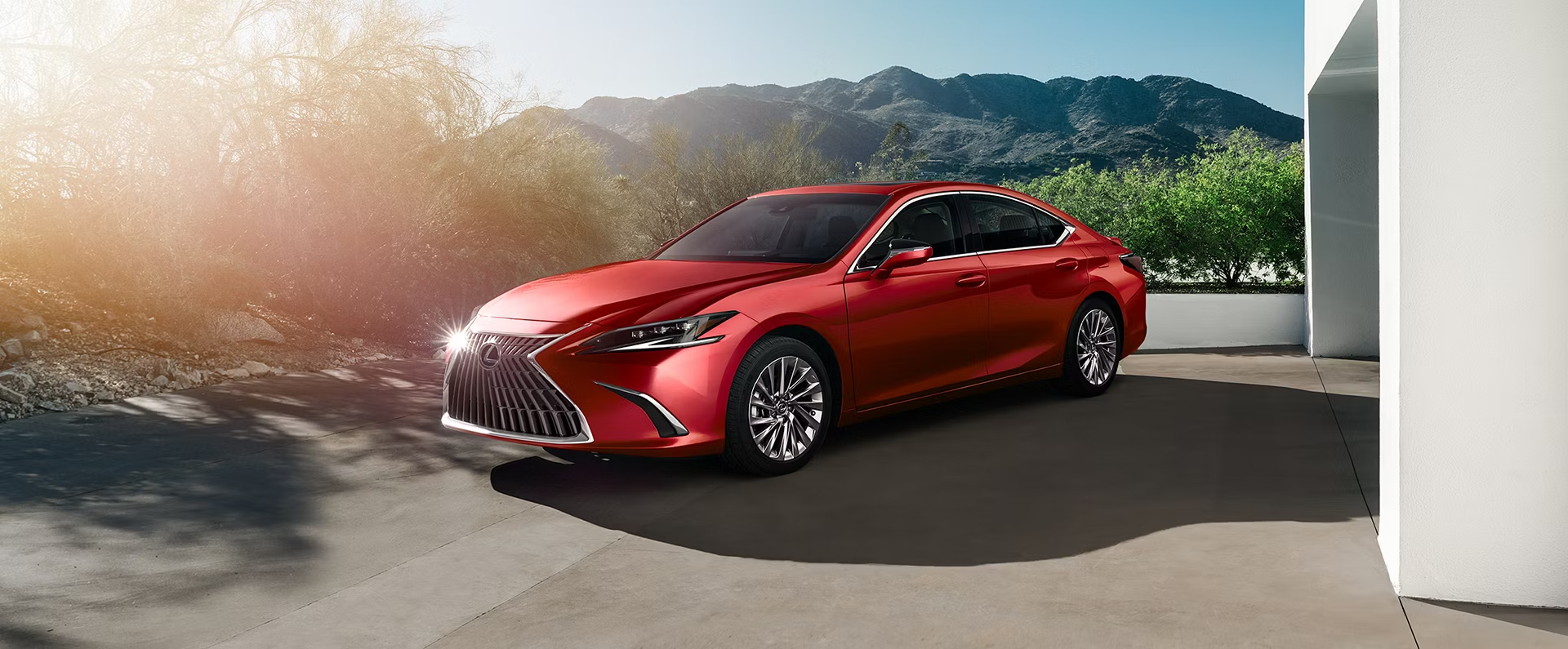 EL LS 2025