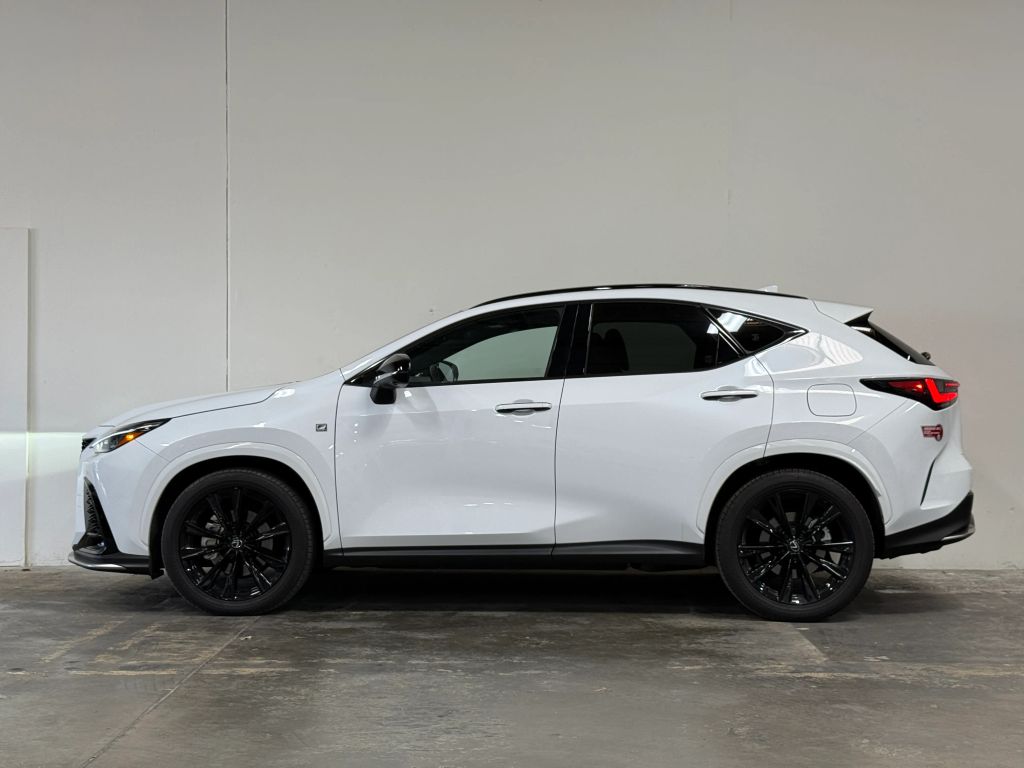 2024 LEXUS NX64024125550721123