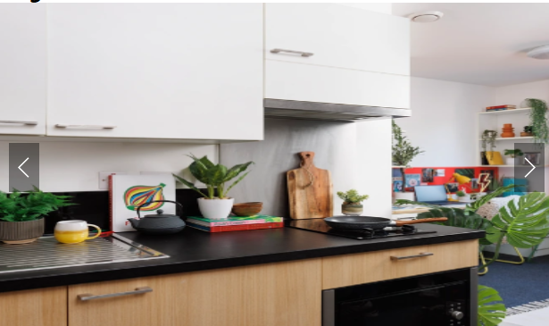 Elvet Studios64553286247041122