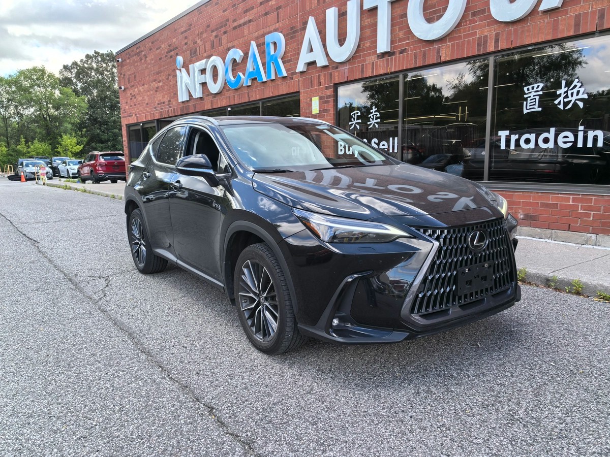 2022﻿ ﻿Lexus﻿ ﻿NX﻿ ﻿Premium64146572650369122