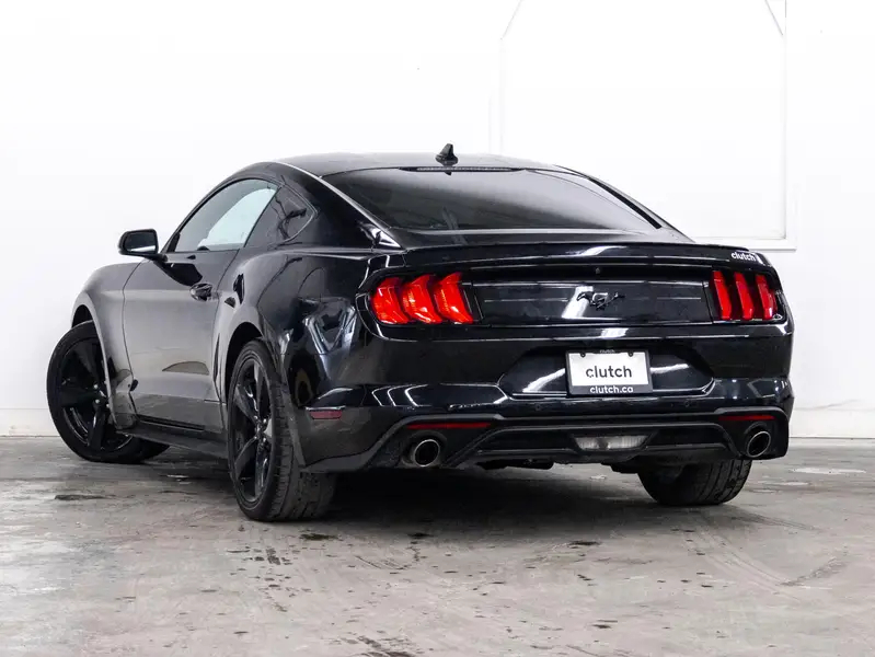 2021 Ford Mustang63734221863043123
