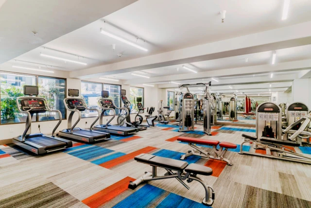 The Adler Apartments63459203539843122