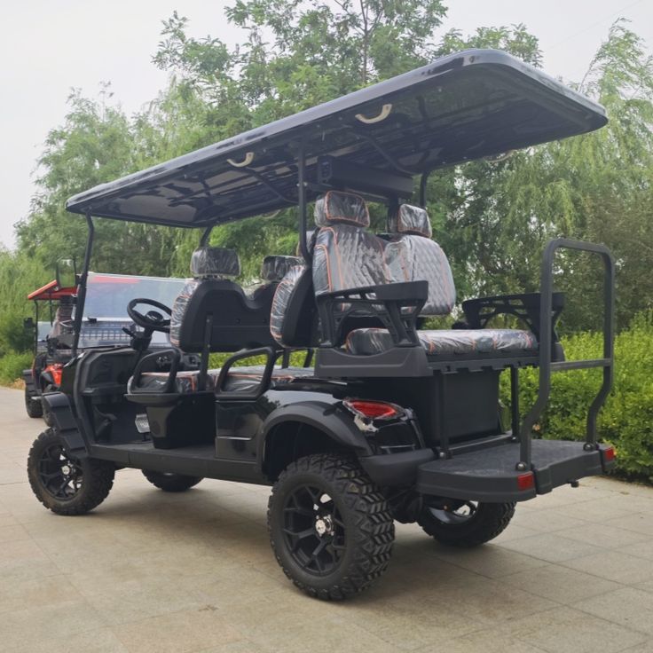 Nuevo Lexsong para carrito de golf de 4 plazas64303979199106120