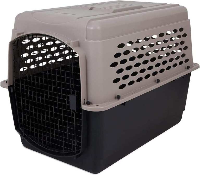Two-tone plastic pet carrier with black metal door