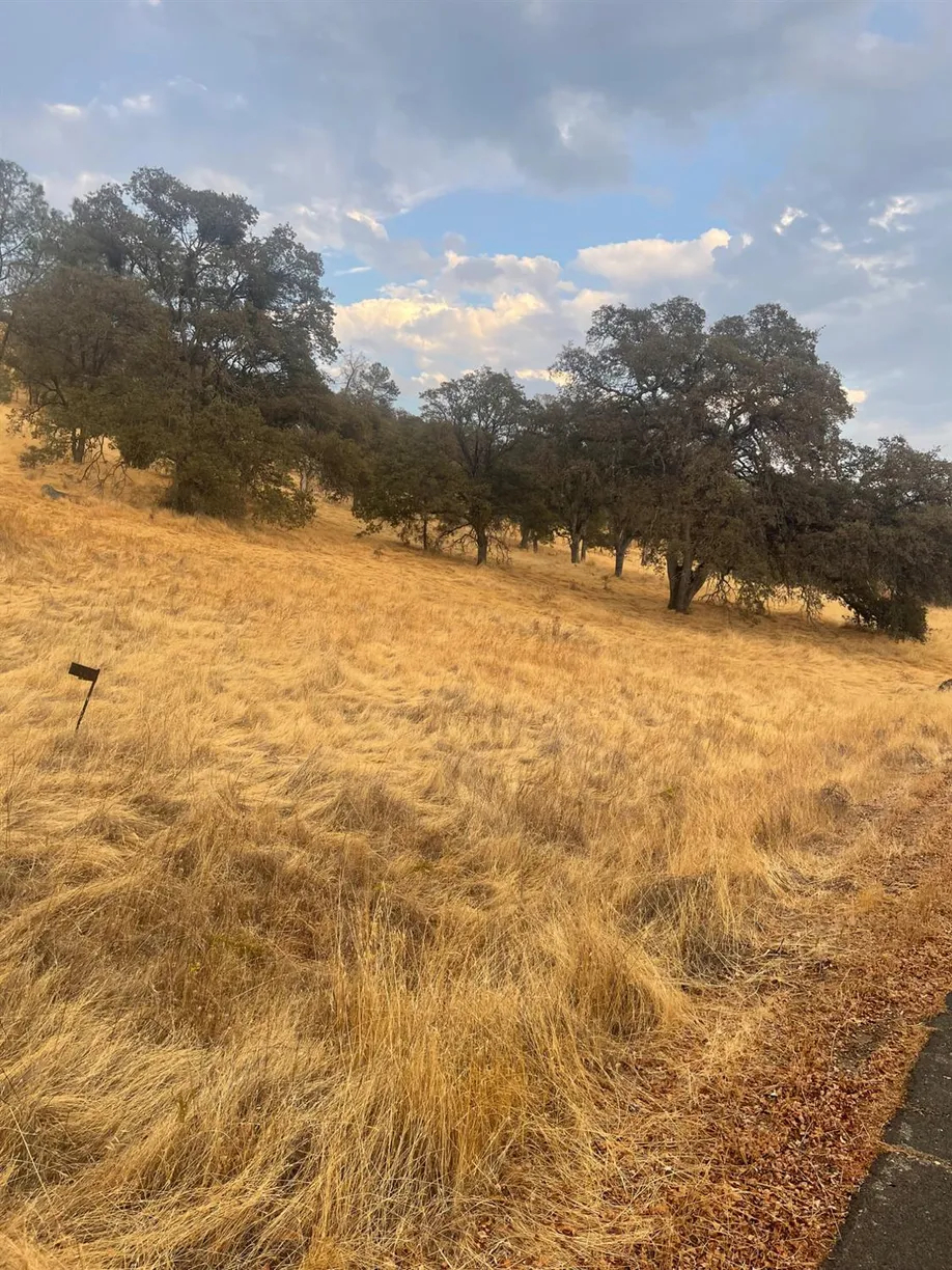Castillo