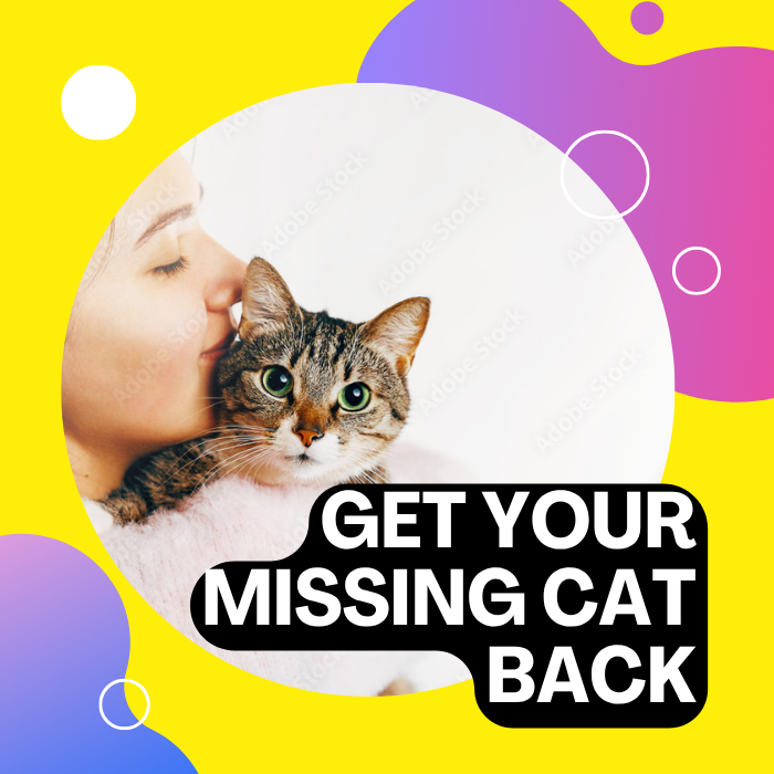 Traiga de vuelta a su gato desaparecido407918728268359680