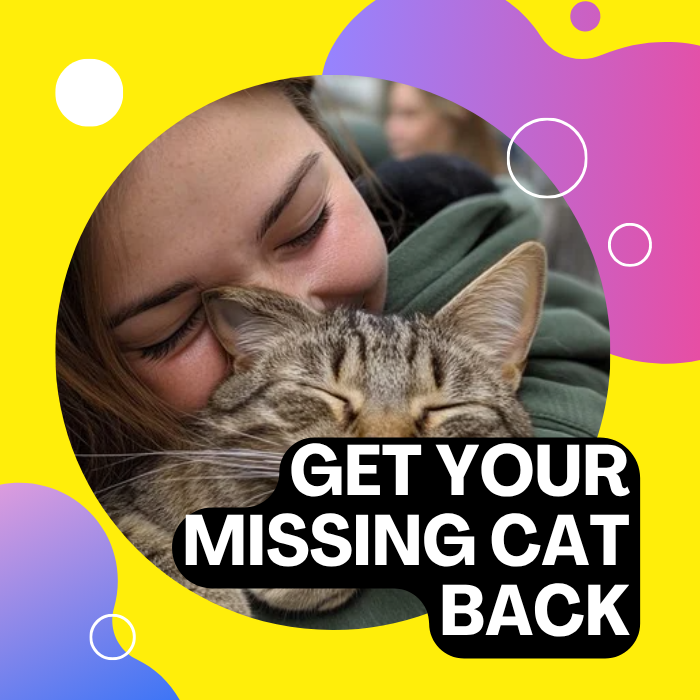 Looking for your cat ?