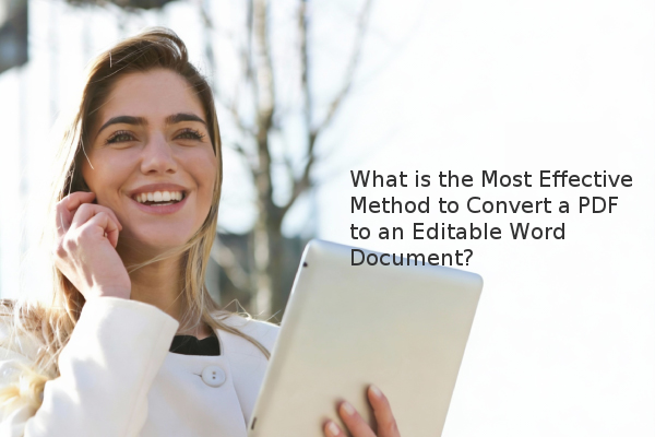 PDF to Word conversion PDF to Word conversion